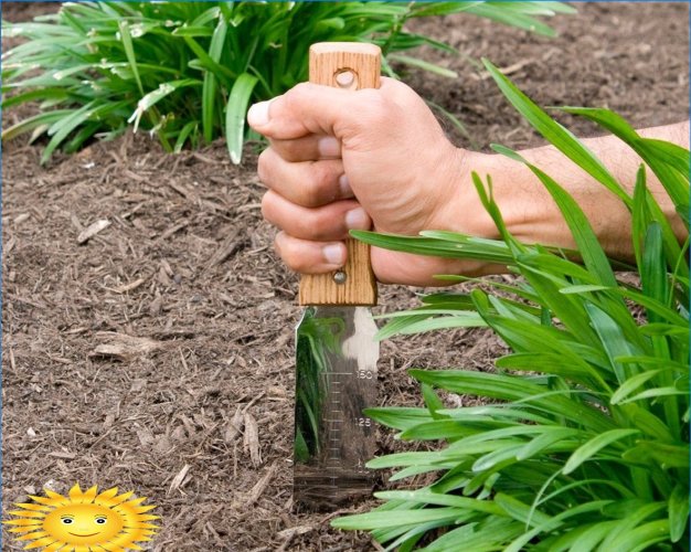 Jak založit malou zahradu