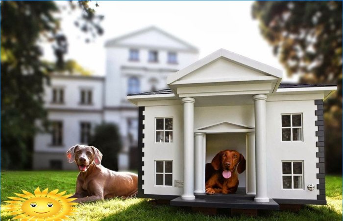 Stánky a domy pro psy