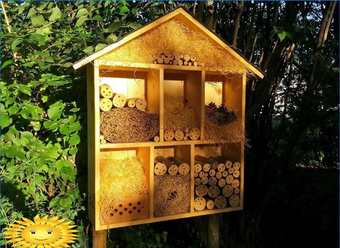 Dům pro včely