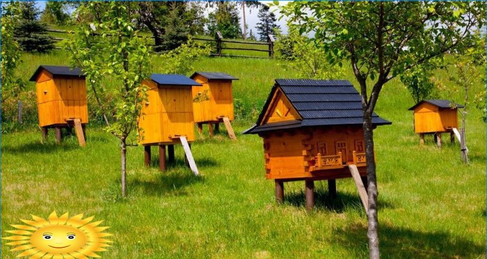 Dřevěné domy pro včely