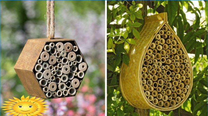 Včelí domy