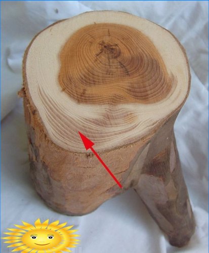 Role dřeva