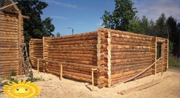 Jaké dřevo si vybrat pro stavbu srubu