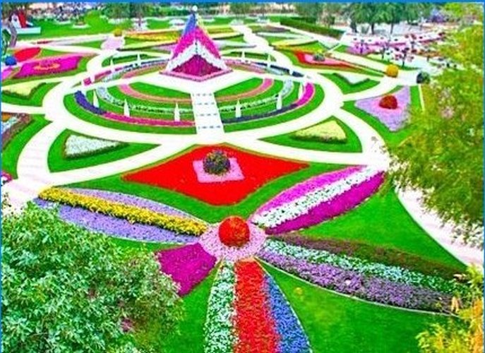 Al Ain Paradis v SAE