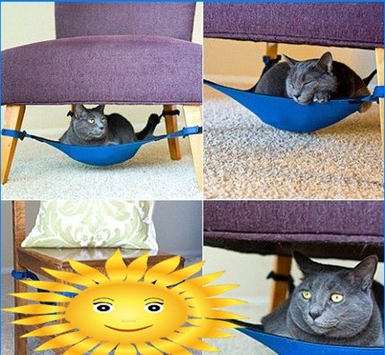 Tato židle pro mě, tento osmanský pro kočku - vybavujeme kočičí interiér