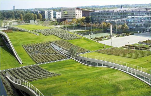 Zelená architektura: zeleň na střeše