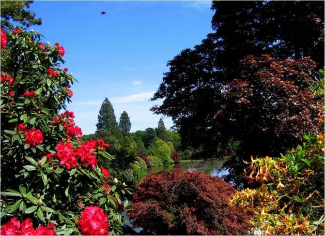 Sheffield Classic Park, Anglie