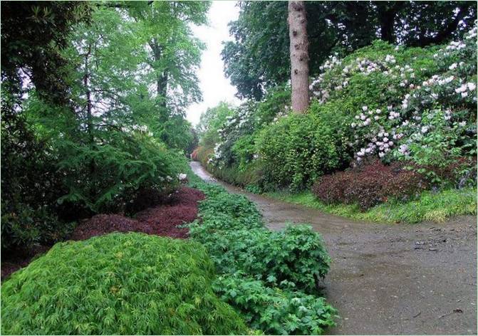 Mount Congreve Arboretum