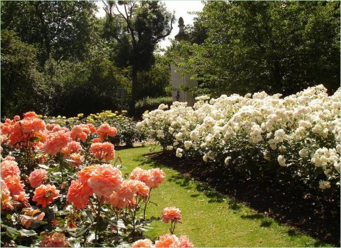 Regents Park Landscaping v Londýně