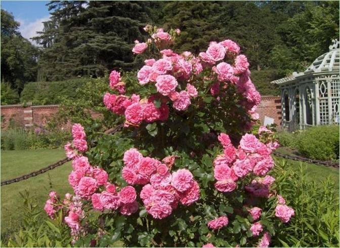 Old Westbury Gardens v USA