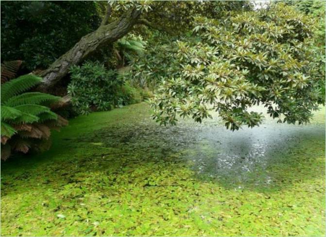 Ztracené zahrady Heligan ve Velké Británii