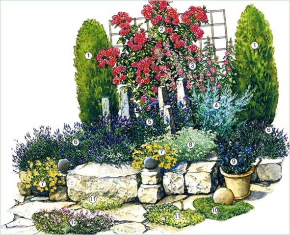 Schéma květinové zahrady v provensálském stylu