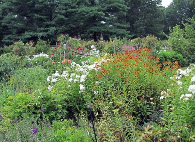 Old Westbury Gardens v USA