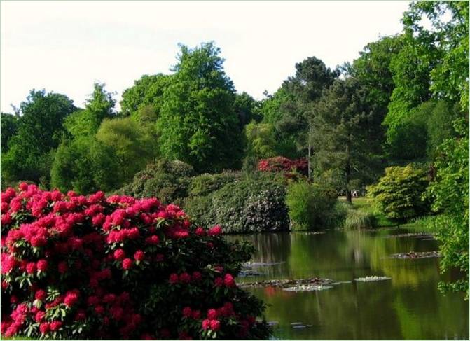 Sheffield Classic Park, Anglie