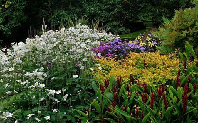 Landrock Garden in Cornwall