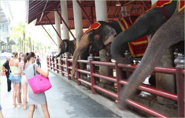 Tropický park Nong Nooch v Thajsku