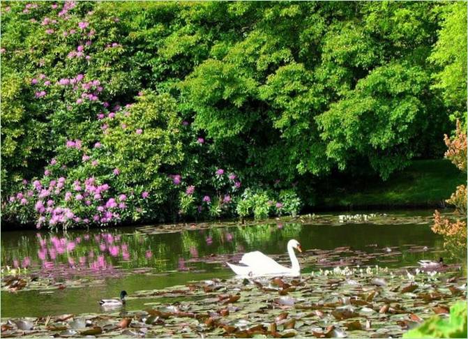 Sheffield Classic Park, Anglie