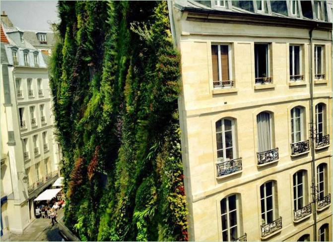 Vertikální zahrada Oasis Aboukir od Patricka Blanca