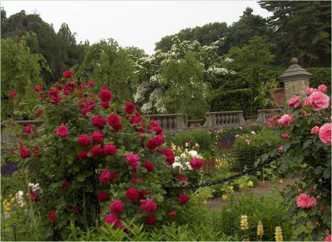 Old Westbury Gardens v USA