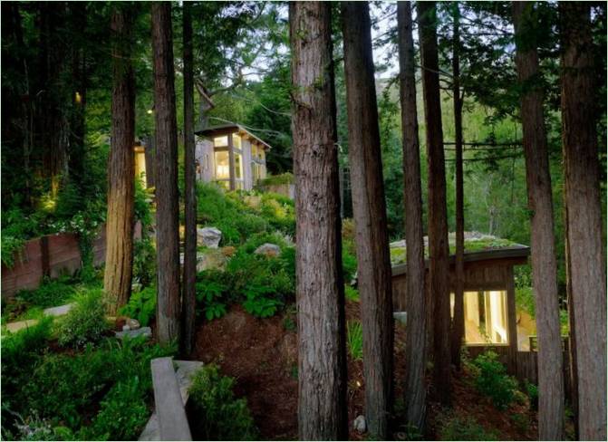 Útulné chaty mezi stromy Mill Valley Cabins v Kalifornii, USA