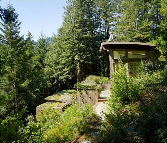 Útulné chaty mezi stromy Mill Valley Cabins v Kalifornii, USA