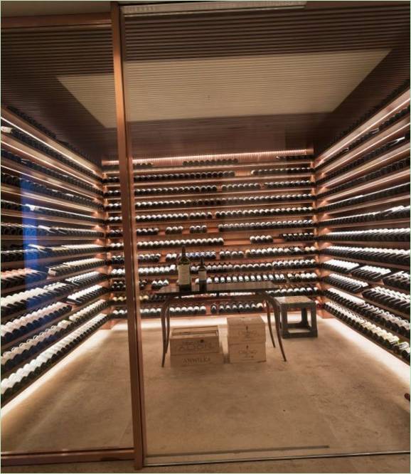 Design soukromé rezidence Ipês House