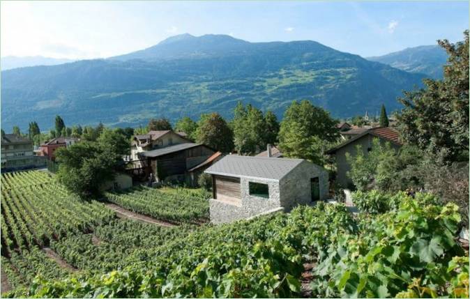 Vinice na venkovském sídle Germaniere ve Švýcarsku