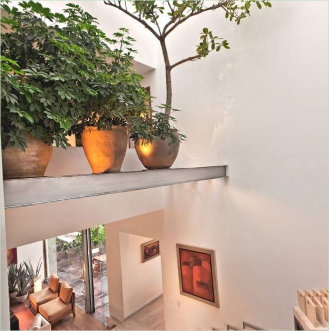 Rostliny v interiéru elegantního sídla Casa Lomas Atlas v Mexiku