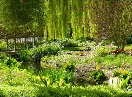 Zahrada v přírodním stylu od Beth Chatto