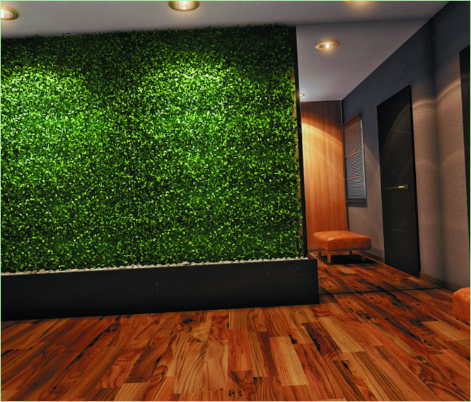 Dekorativní zelená stěna z živých rostlin v ekologickém bytě v Bělorusku