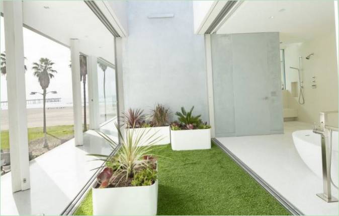 Pokojové rostliny ve Flip Flop House
