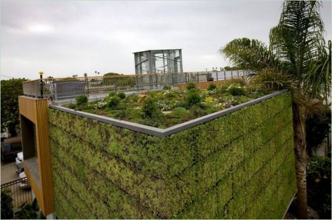 Zahrada se zelenými rostlinami na střeše