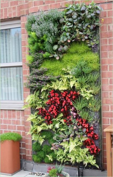 Moderní hydroponický systém pro dům nebo zahradu: živá stěna venku