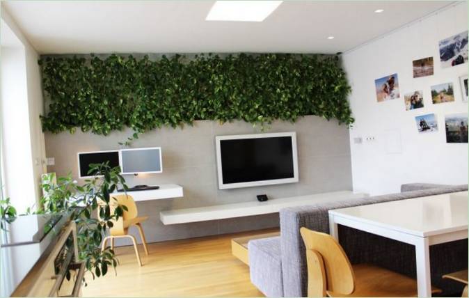 Moderní hydroponický systém pro domácnost nebo zahradu: obývací pokoj se stěnou z rostlin