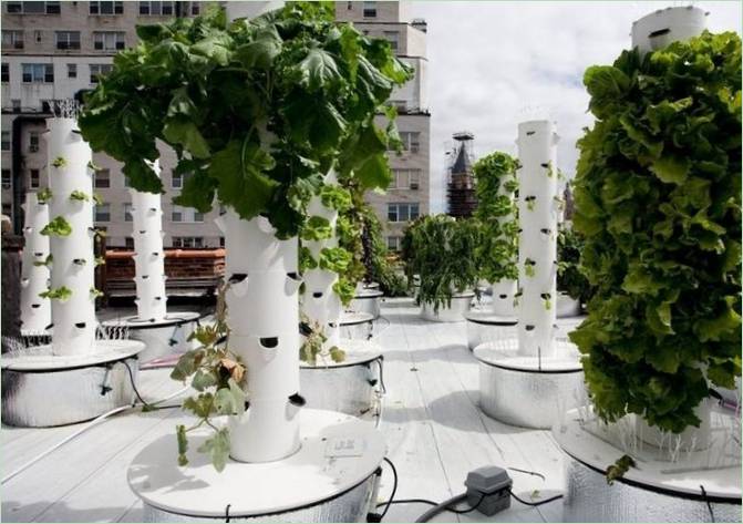 Moderní hydroponický systém pro dům a zahradu: hydroponické věže